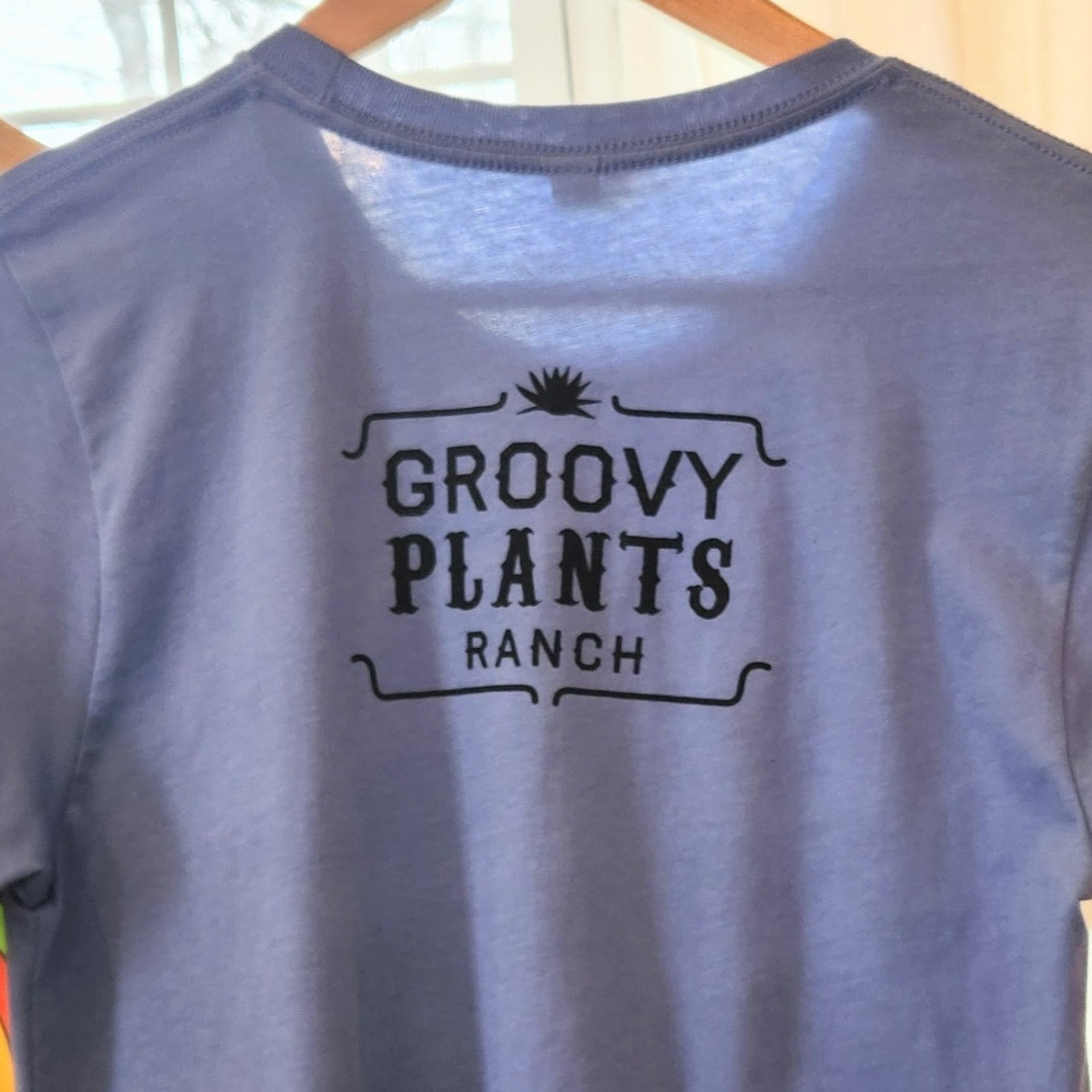 Groovy T-Shirt | School House