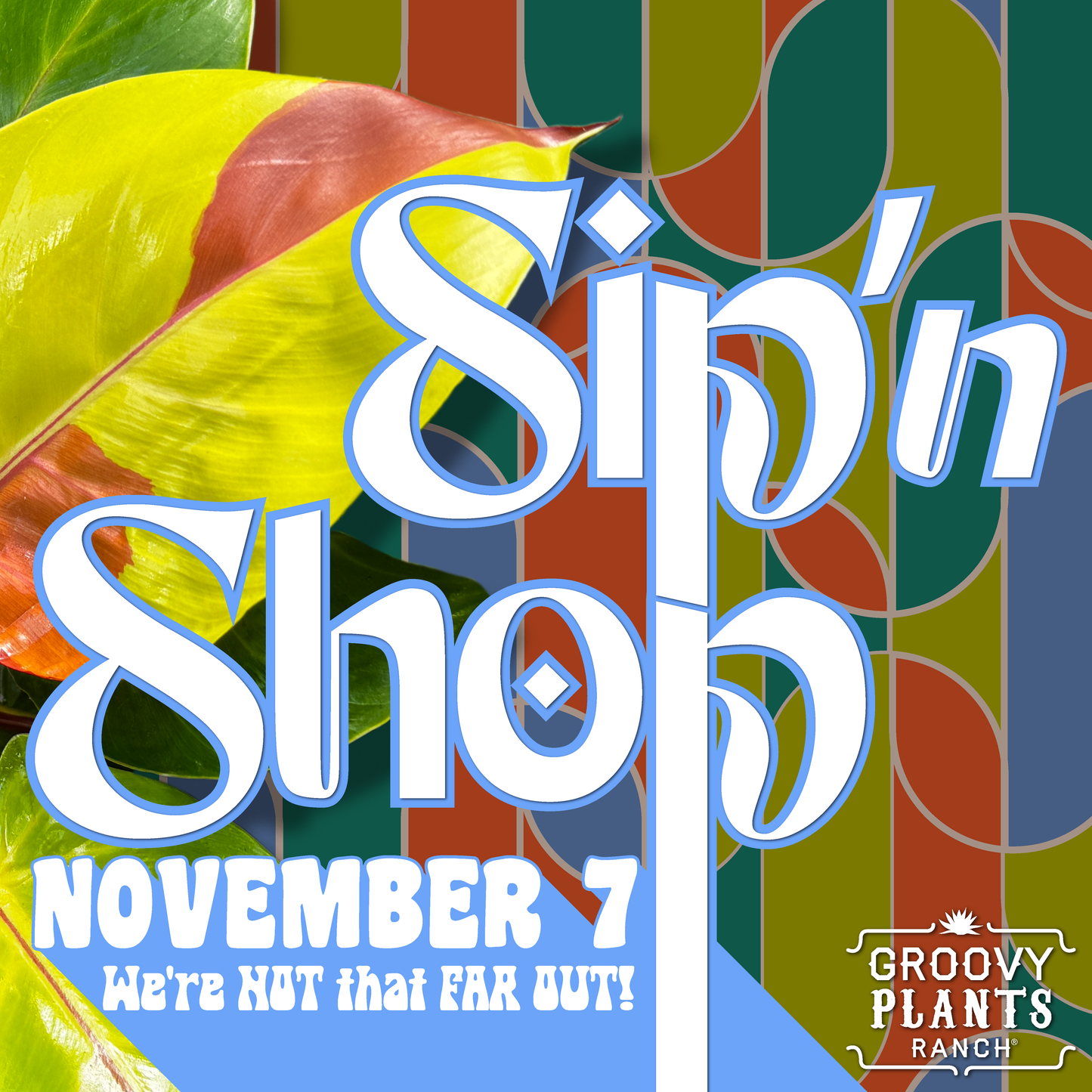 Sip'N Shop | Nov 7th 2025