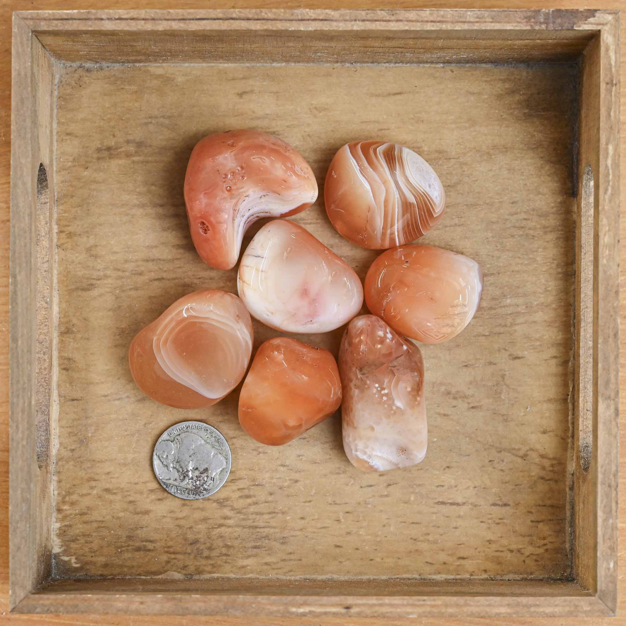 Tumbled Carnelian (1 Stone) – The Groovy Plants Ranch LLC