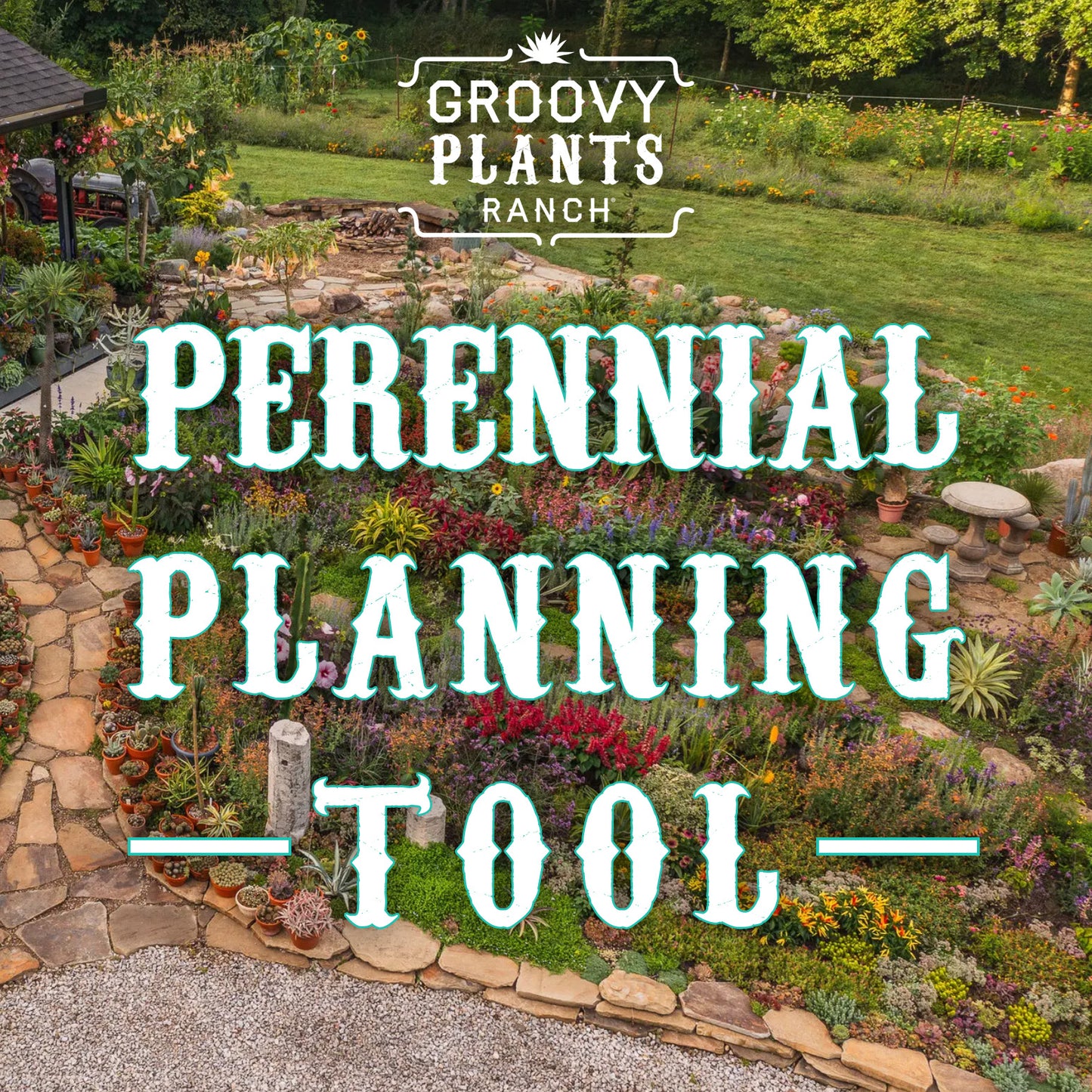Perennial Planning Consultation : 30 Minute Reservation