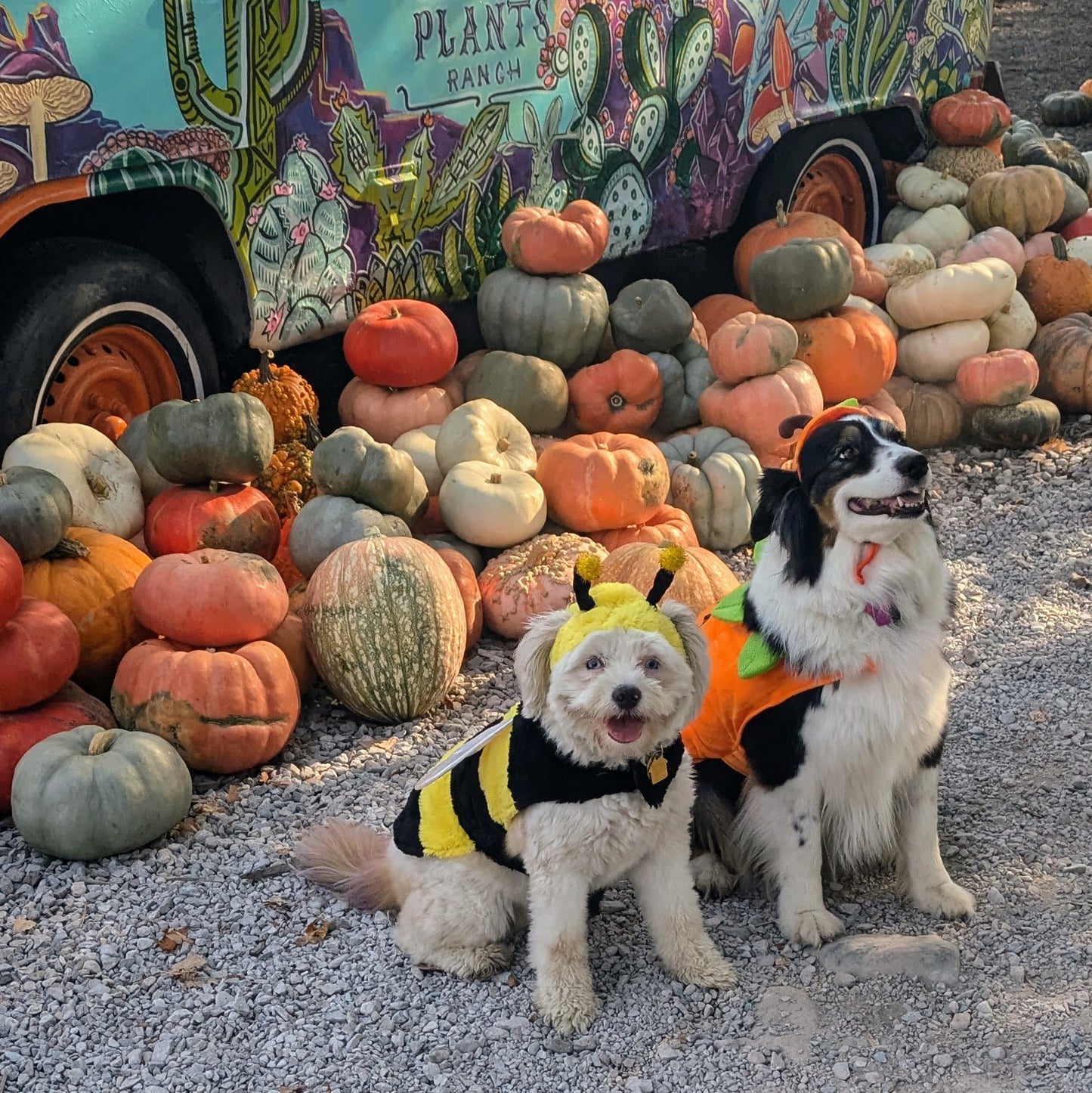 Howl-O-Ween Deposit