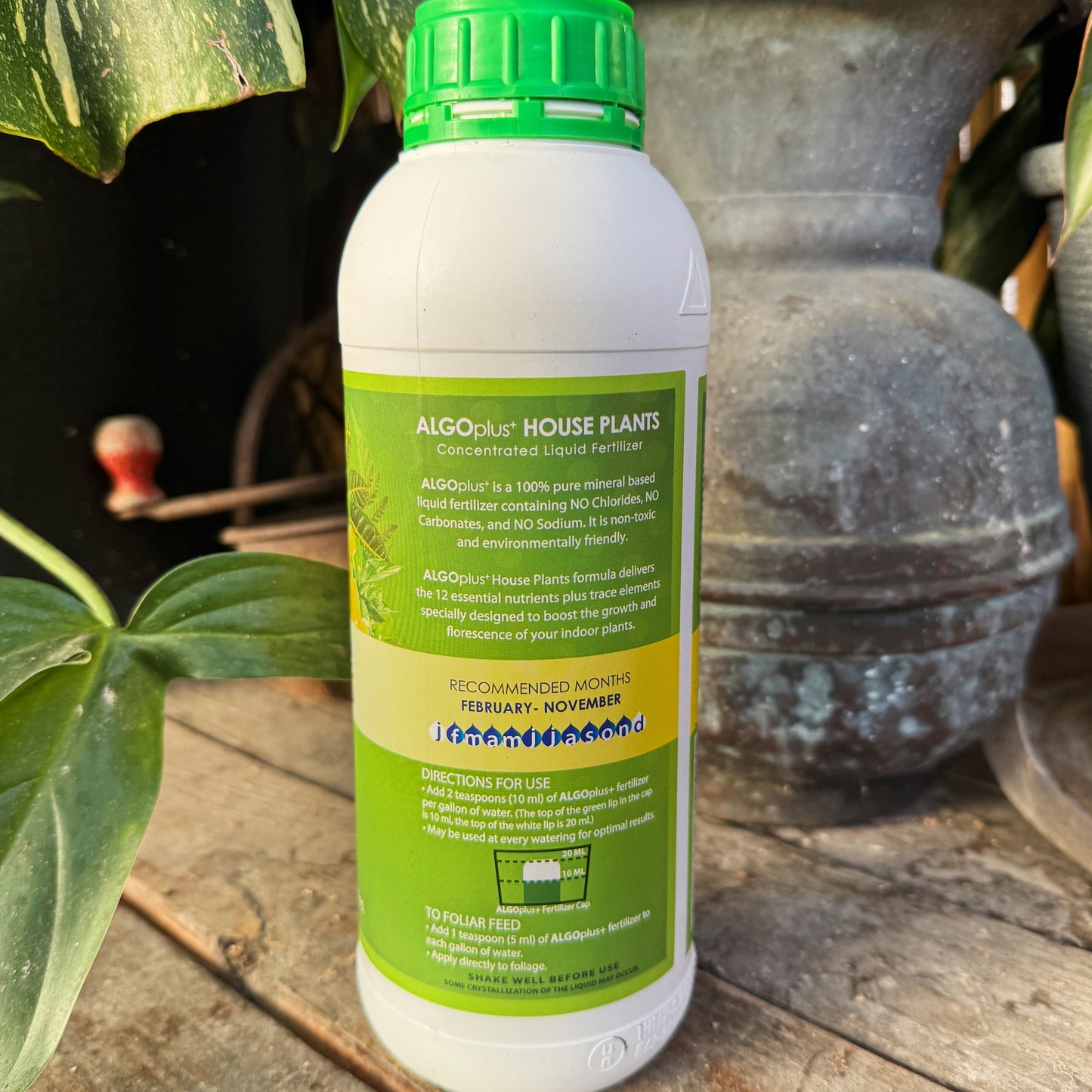 Houseplant Fertilizer