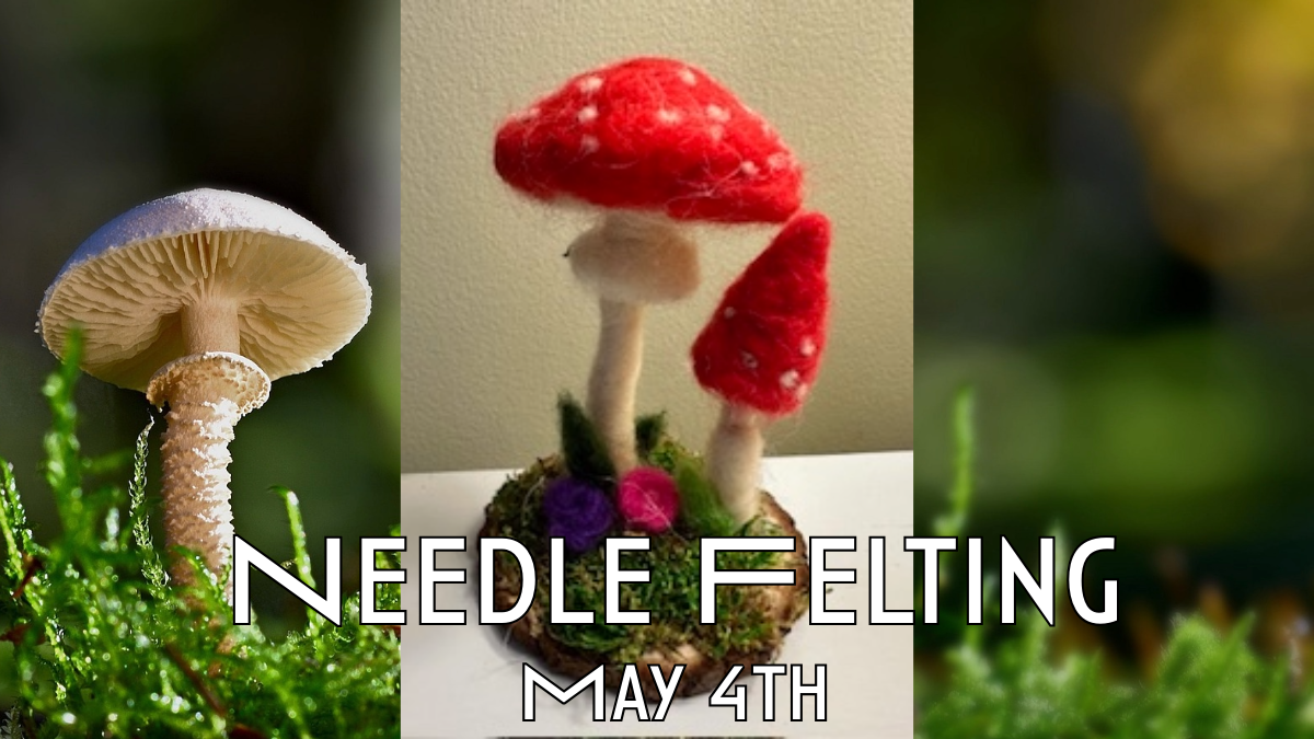 Marvelous Mushroom Felting Class | May 4th 10 am