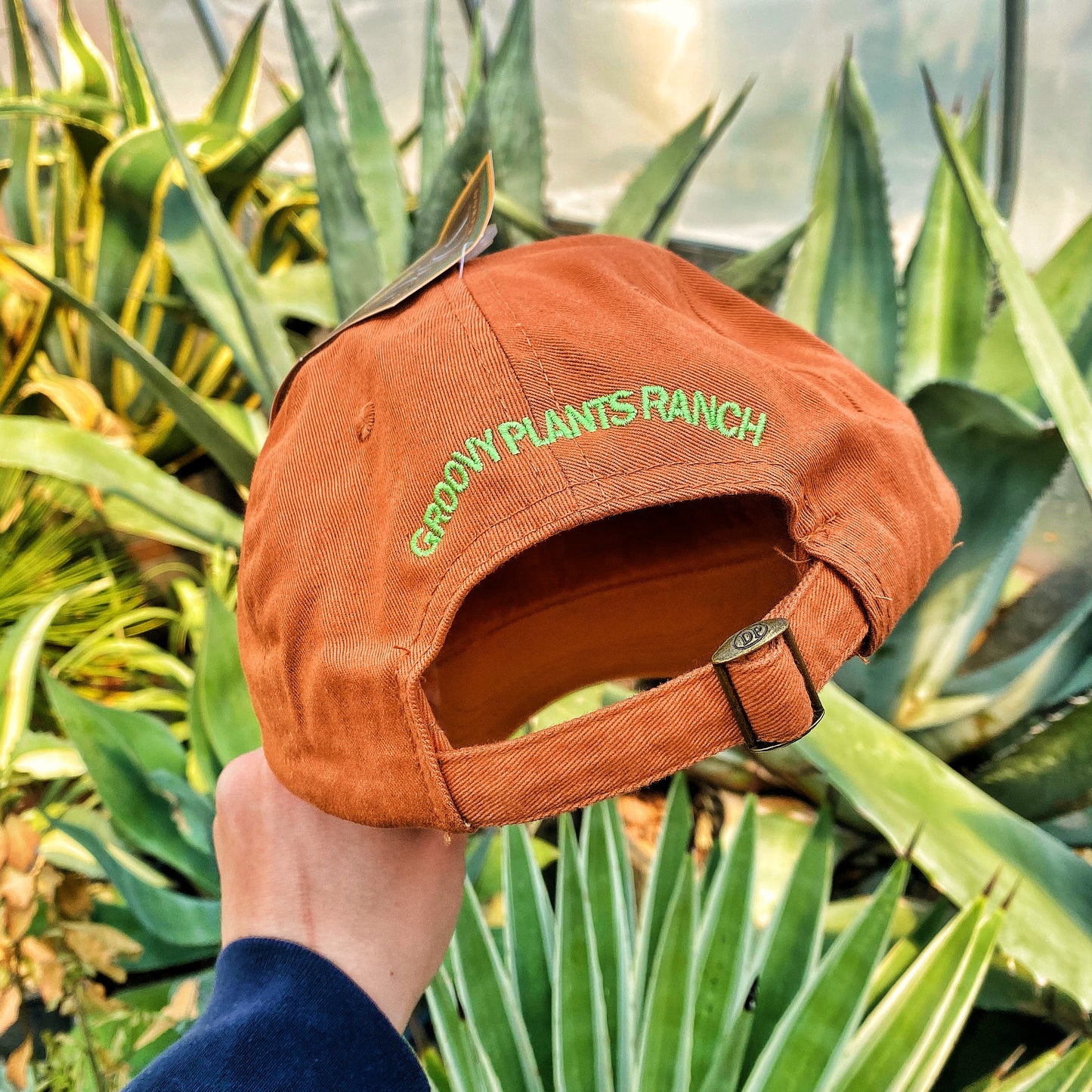 Groovy Hat | Agave