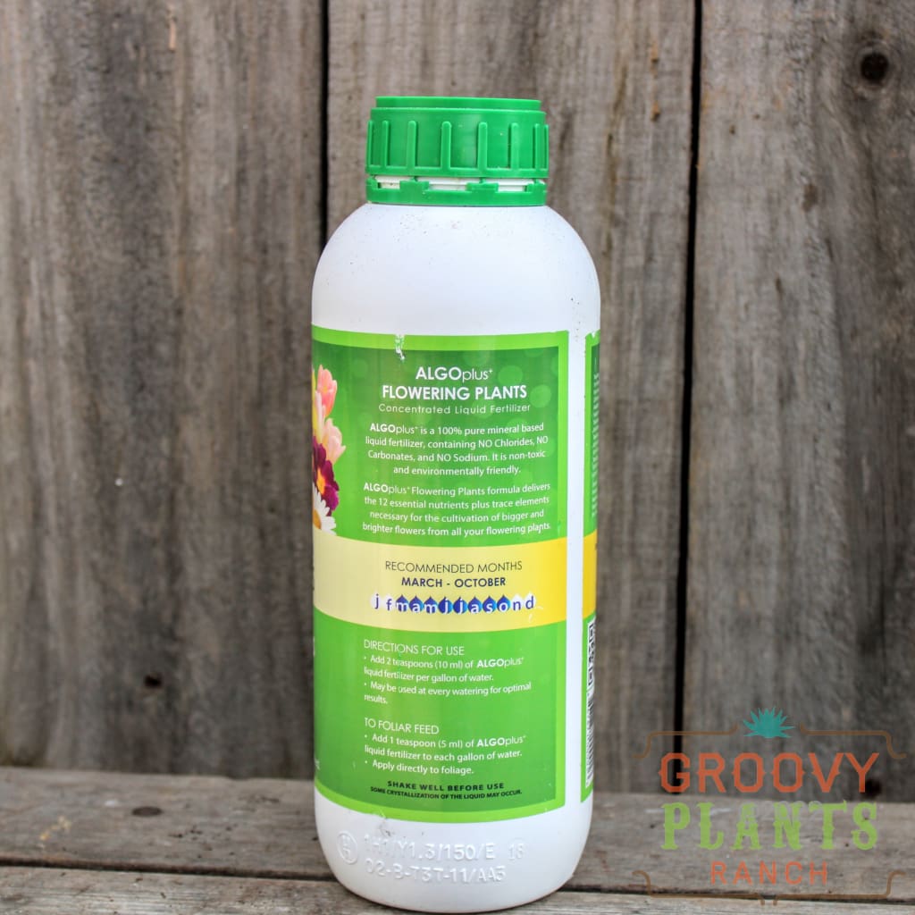 Fertilizer for Flowering Plants Groovy Plants Ranch LLC The Groovy