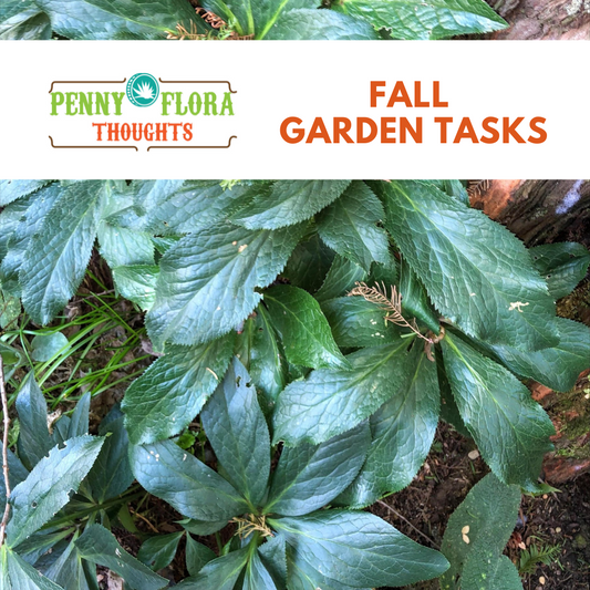 Fall Garden Tasks