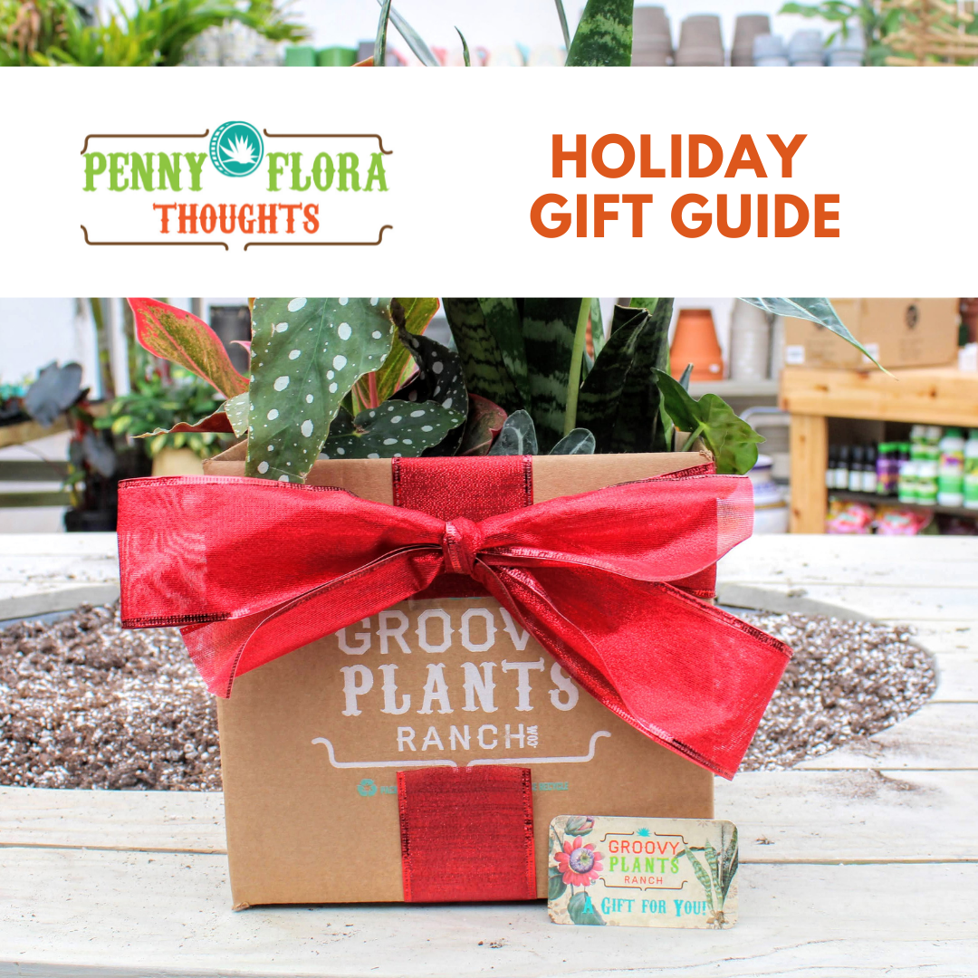 Holiday Gift Guide