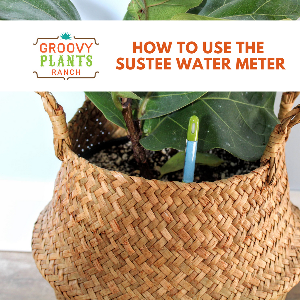 How to use the Sustee Water Meter