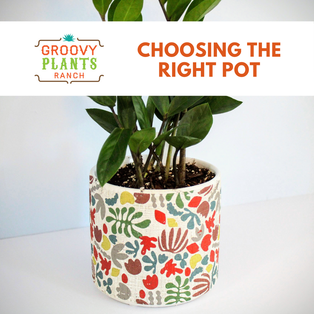 Choosing the Right Pot