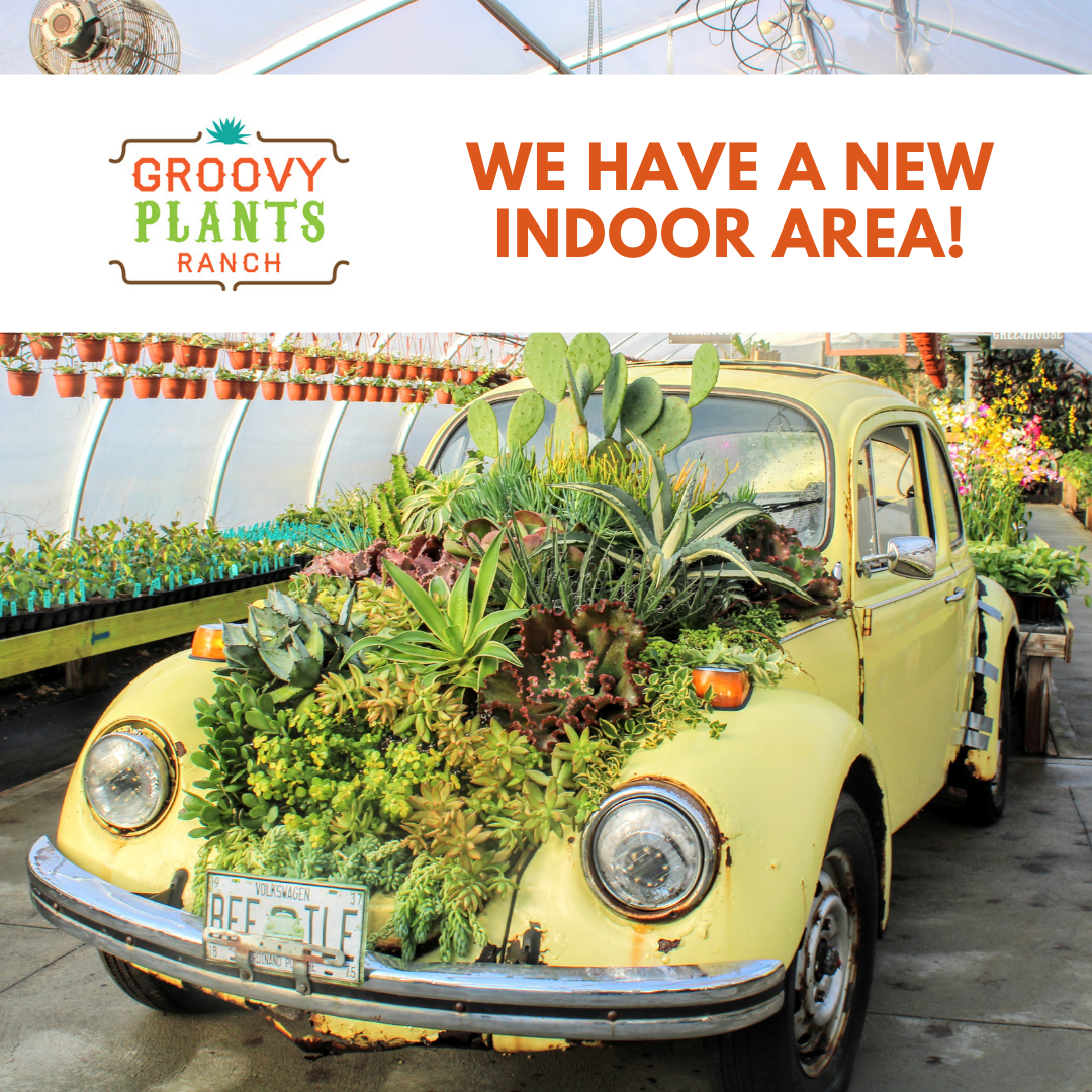We Have a New Indoor Area!