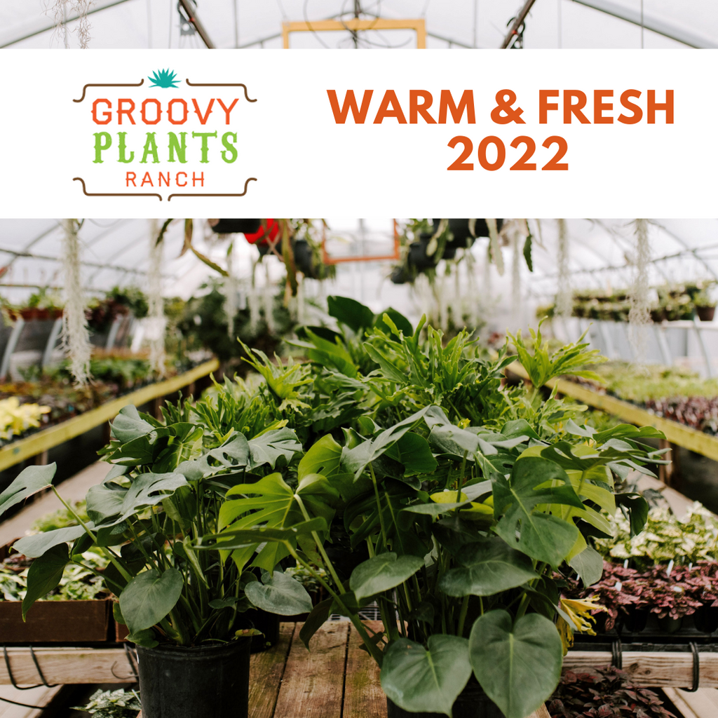 2022 Warm & Fresh