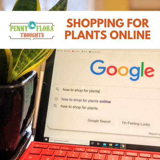 How to Confidently Shop for Plants Online