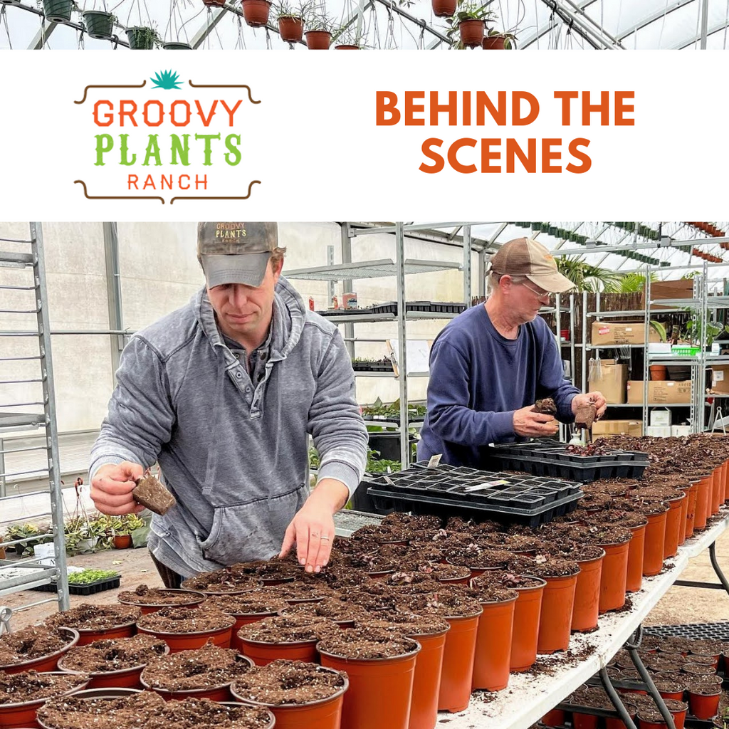Behind the Scenes