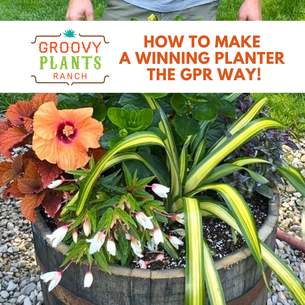 How to Make a Winning Planter the GPR Way!