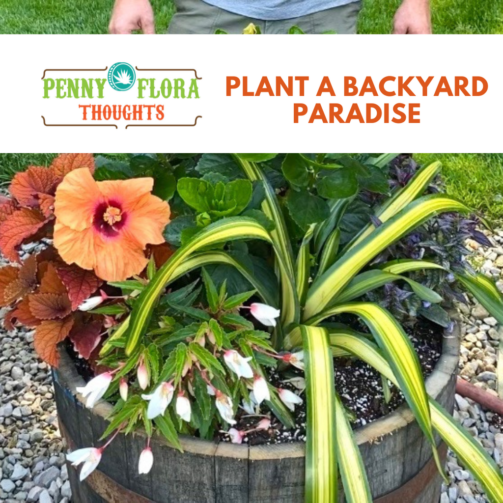 Plant A Backyard Paradise