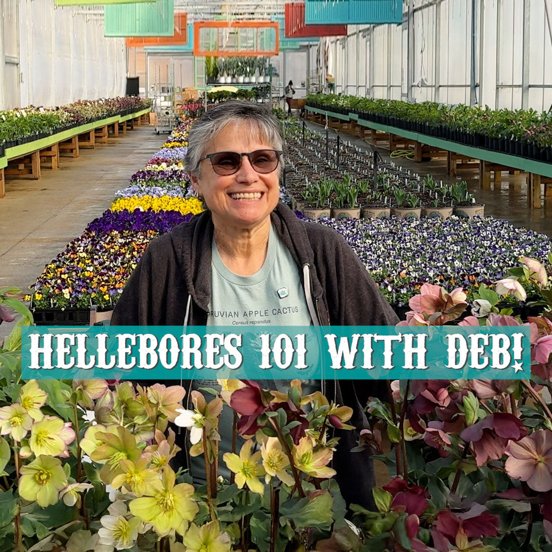 Hellebores 101 with Deb! The Ultimate Winter-Blooming Perennial for Shade Gardens