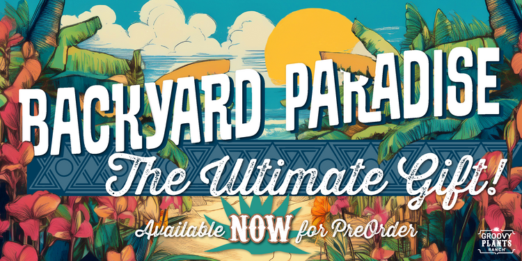 Backyard Paradise Canna Collection