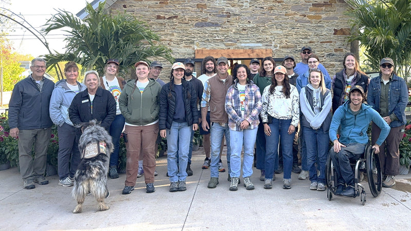 Planning Consultations