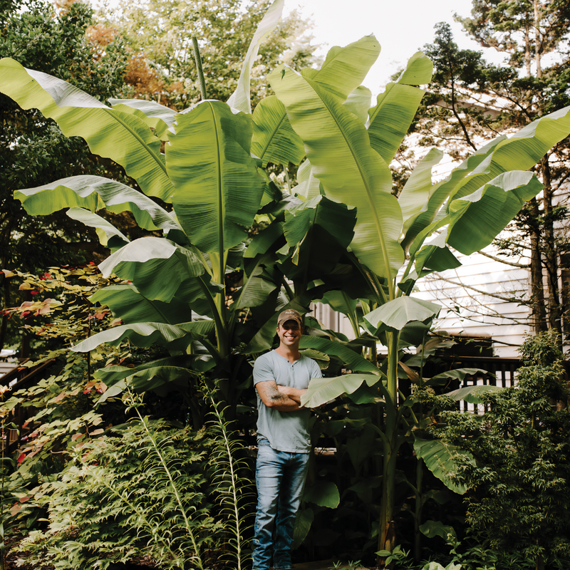 Limited Release Plants