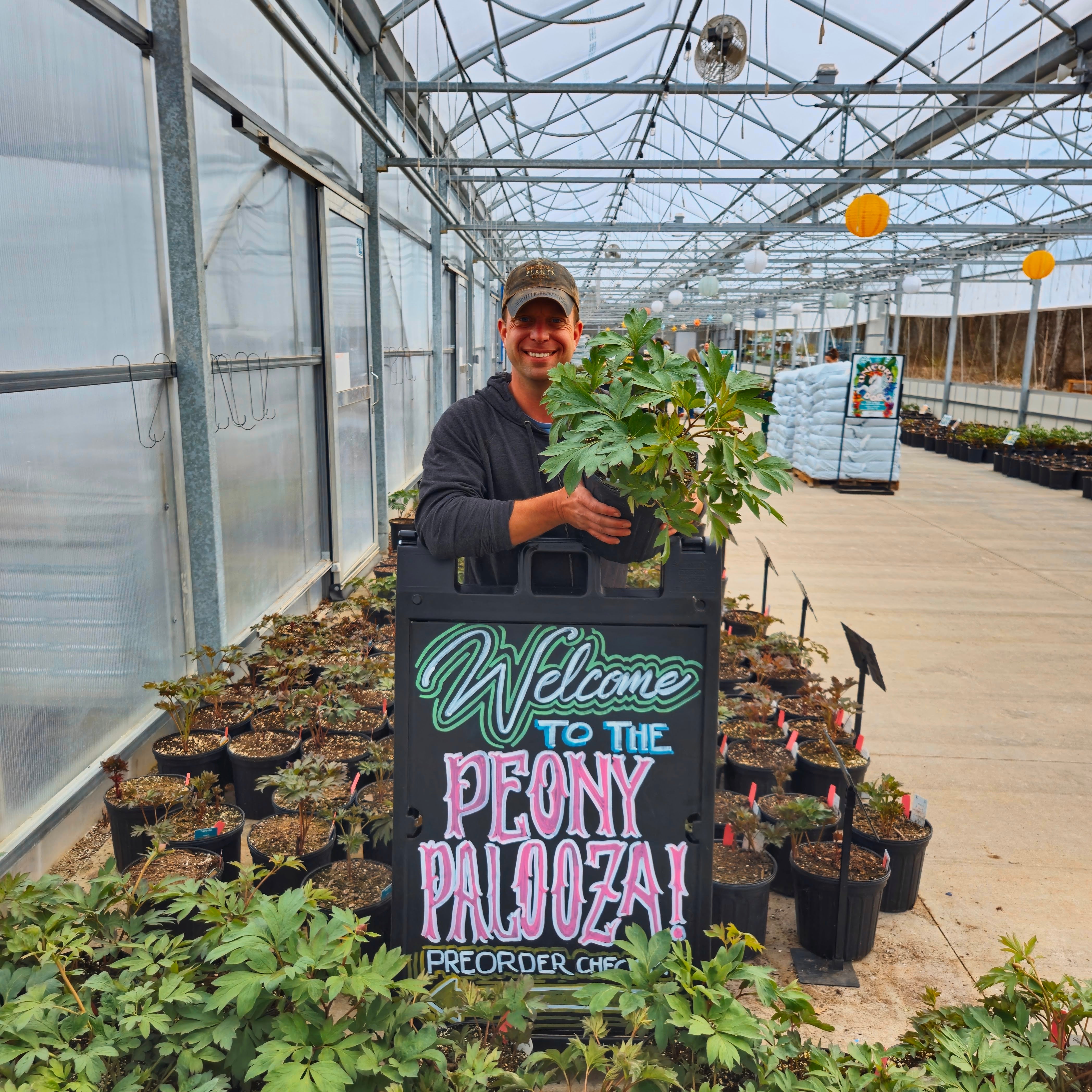 Groovy Plants Ranch - Peony Palooza – The Groovy Plants Ranch LLC