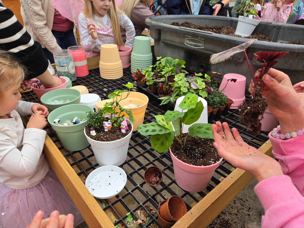 Fairy Garden Tea Party! | Dec 12th 11am