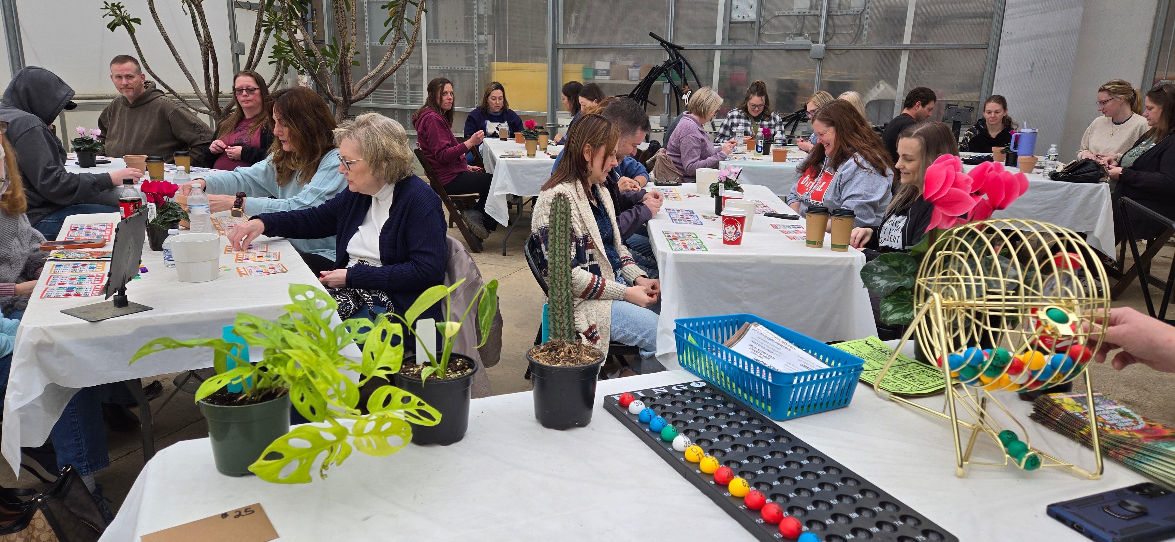 BINGOグループ Plant Bingo | April 25th 4pm – The Groovy Plants Ranch LLC