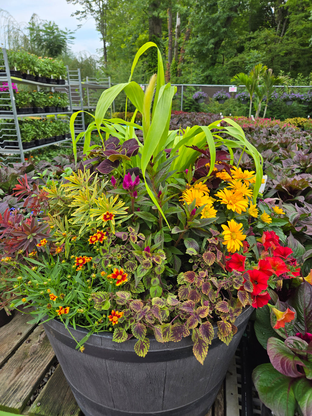 Fall Magic Planter | Sept 3rd 5:30
