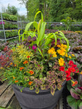 Fall Magic Planter | Sept 3rd 5:30