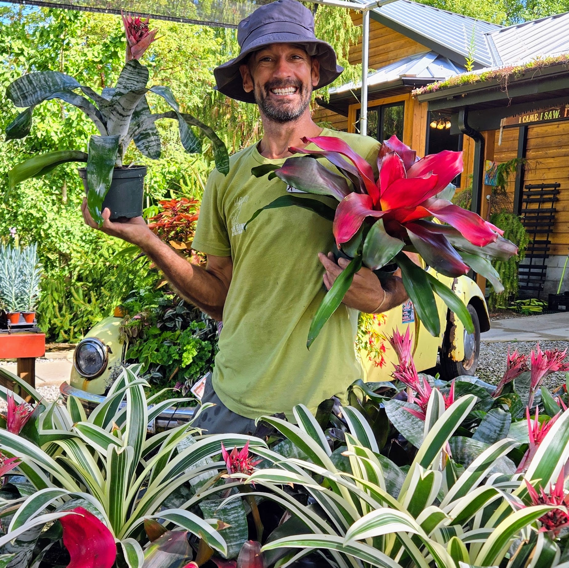 Fall for Bromeliads: The Zero-Drama Houseplant | Sept 18th 5:30pm