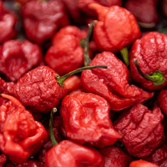 'Carolina Reaper' Hot Pepper ~ Trio of 3 Hefty Plants for Preorder