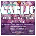 Garlic | Bad Breath and Beyond Bundle - Pickup October 16th - 19th