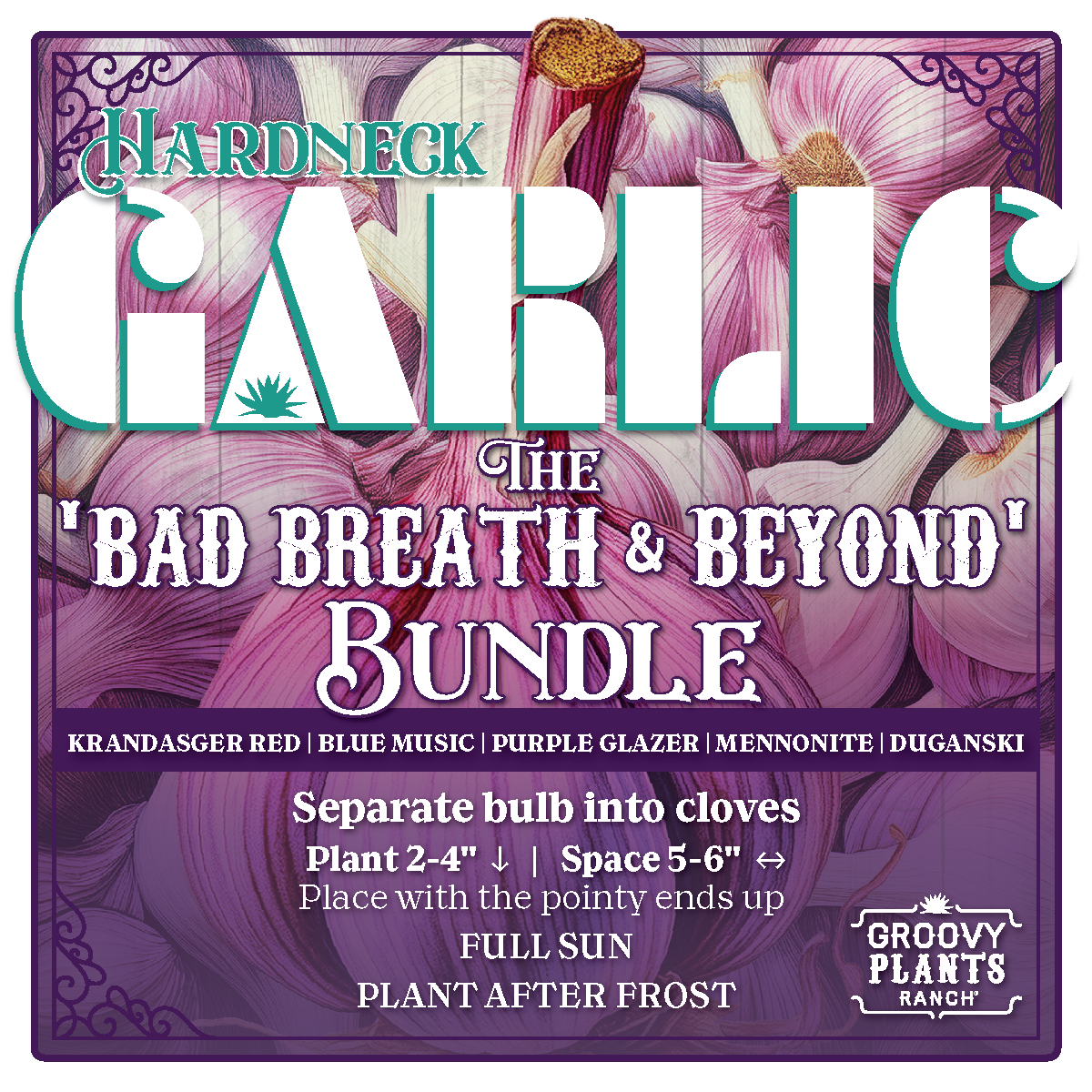 Garlic | Bad Breath and Beyond Bundle - Pickup October 18th & 19th