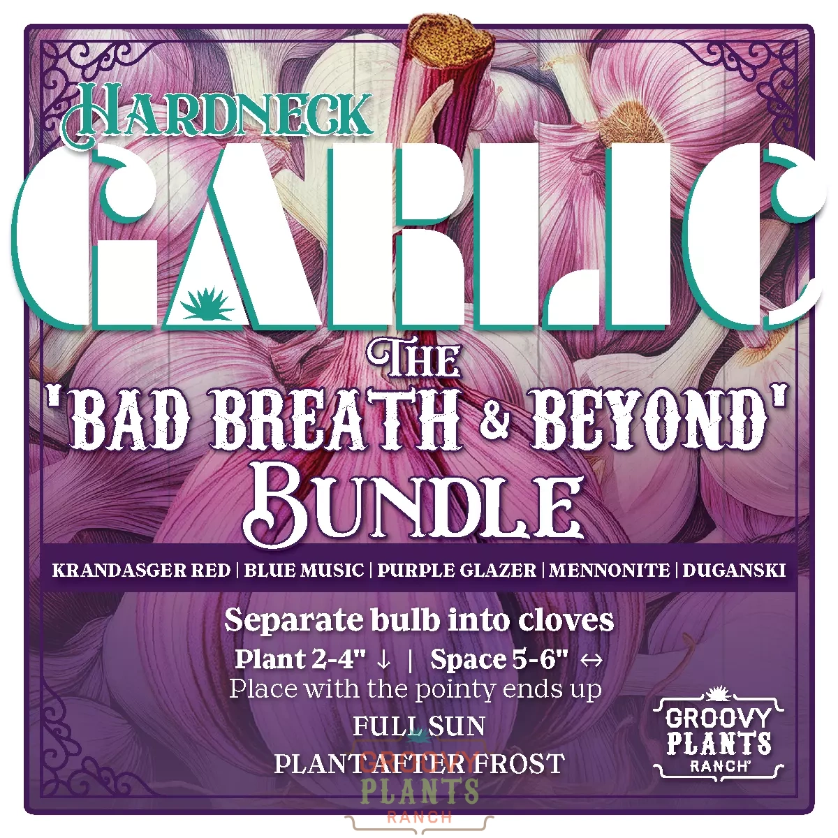 Garlic | Bad Breath and Beyond Bundle - Pickup October 16th - 19th