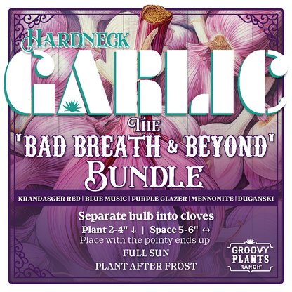 Garlic | Bad Breath and Beyond Bundle - Pickup October 18th & 19th