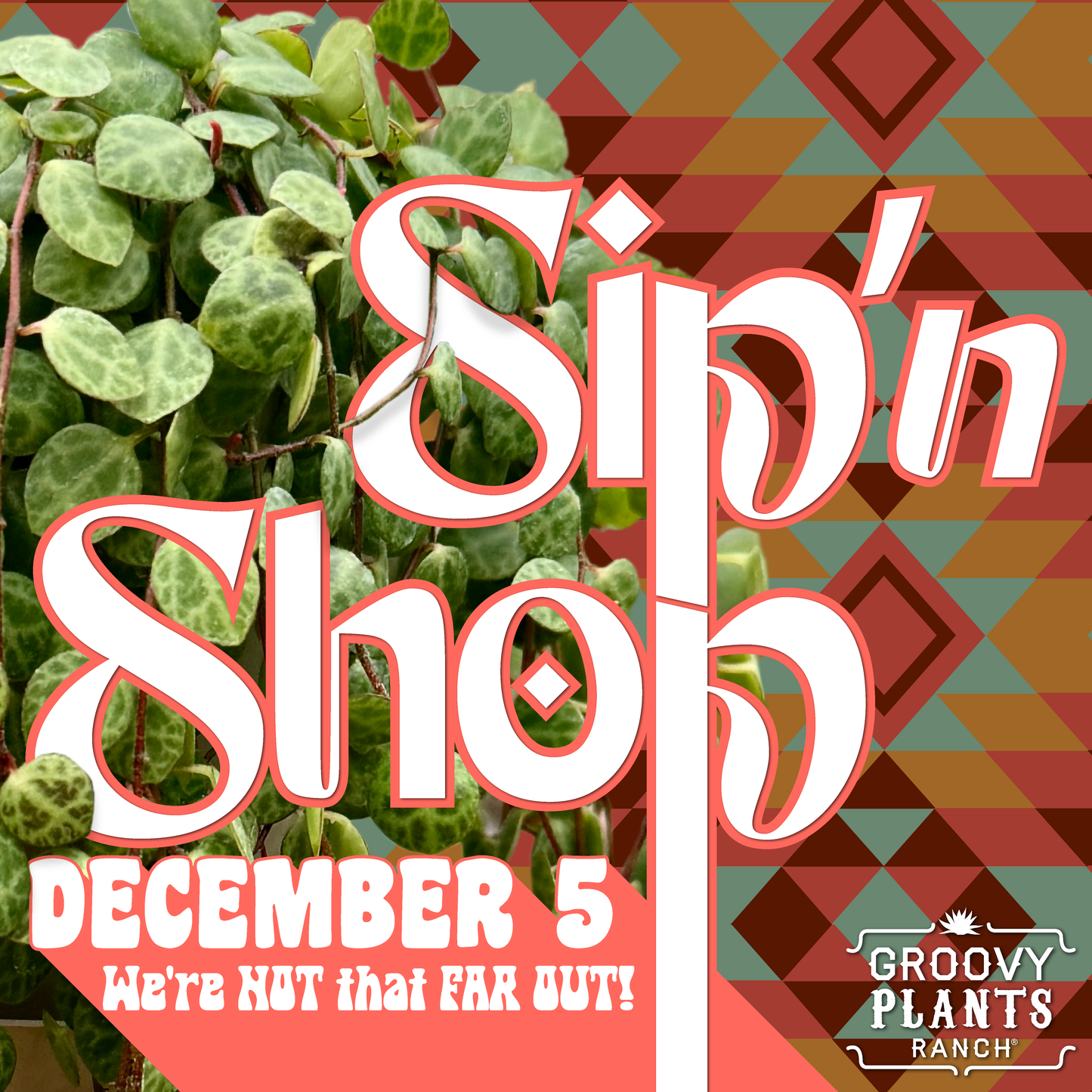 Sip'N Shop | Friday, December 5th, 2025