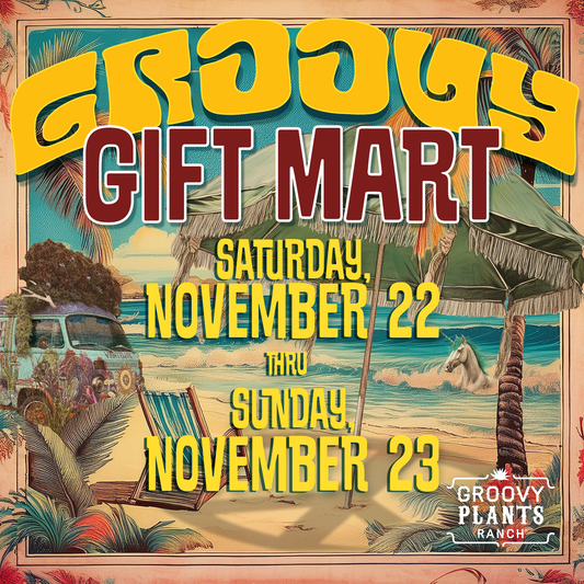 Vendor Deposit Groovy Gift Mart 2025