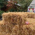 Baby Bale - Hay Bale