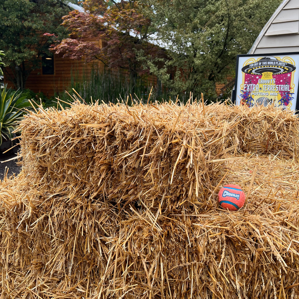 Baby Bale - Hay Bale