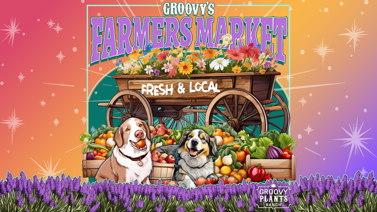 Farmers Market – The Groovy Plants Ranch LLC