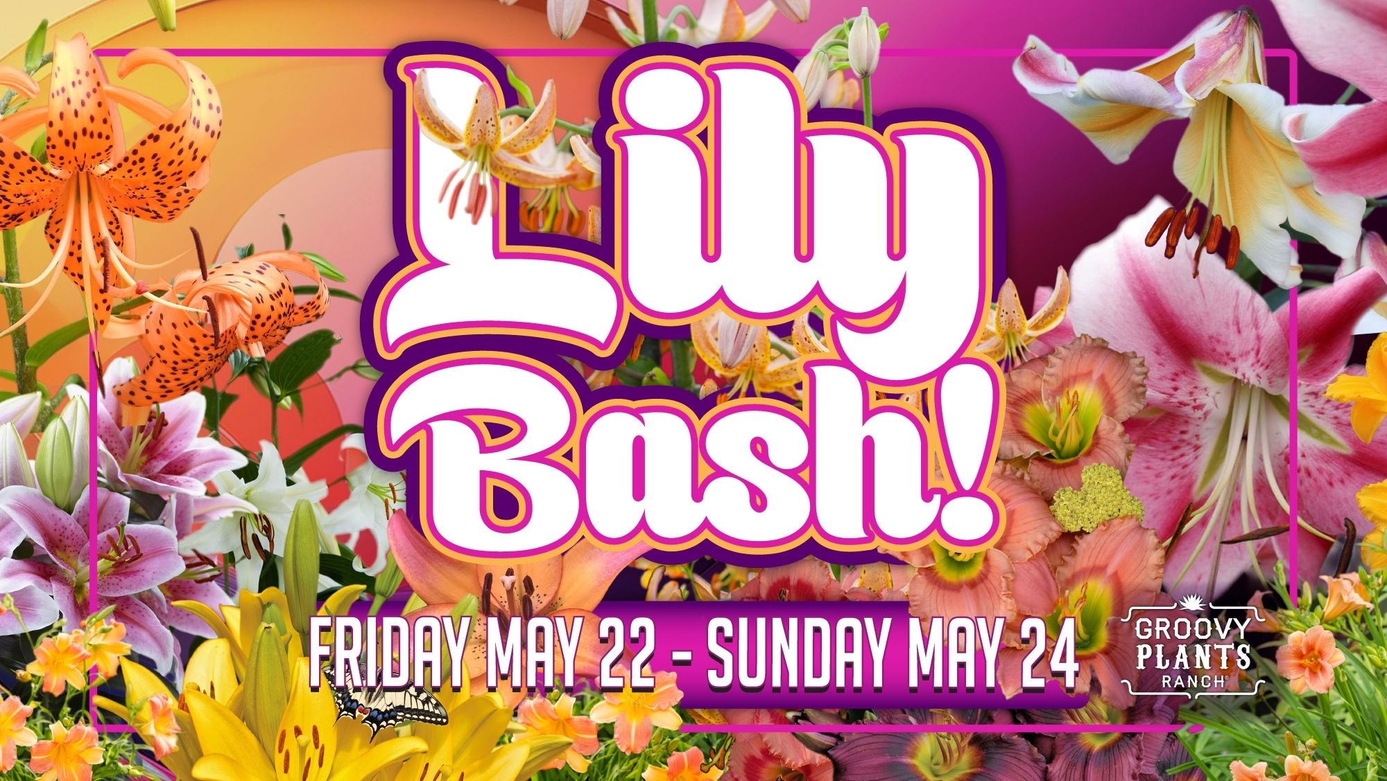 Lily Bash – The Groovy Plants Ranch LLC