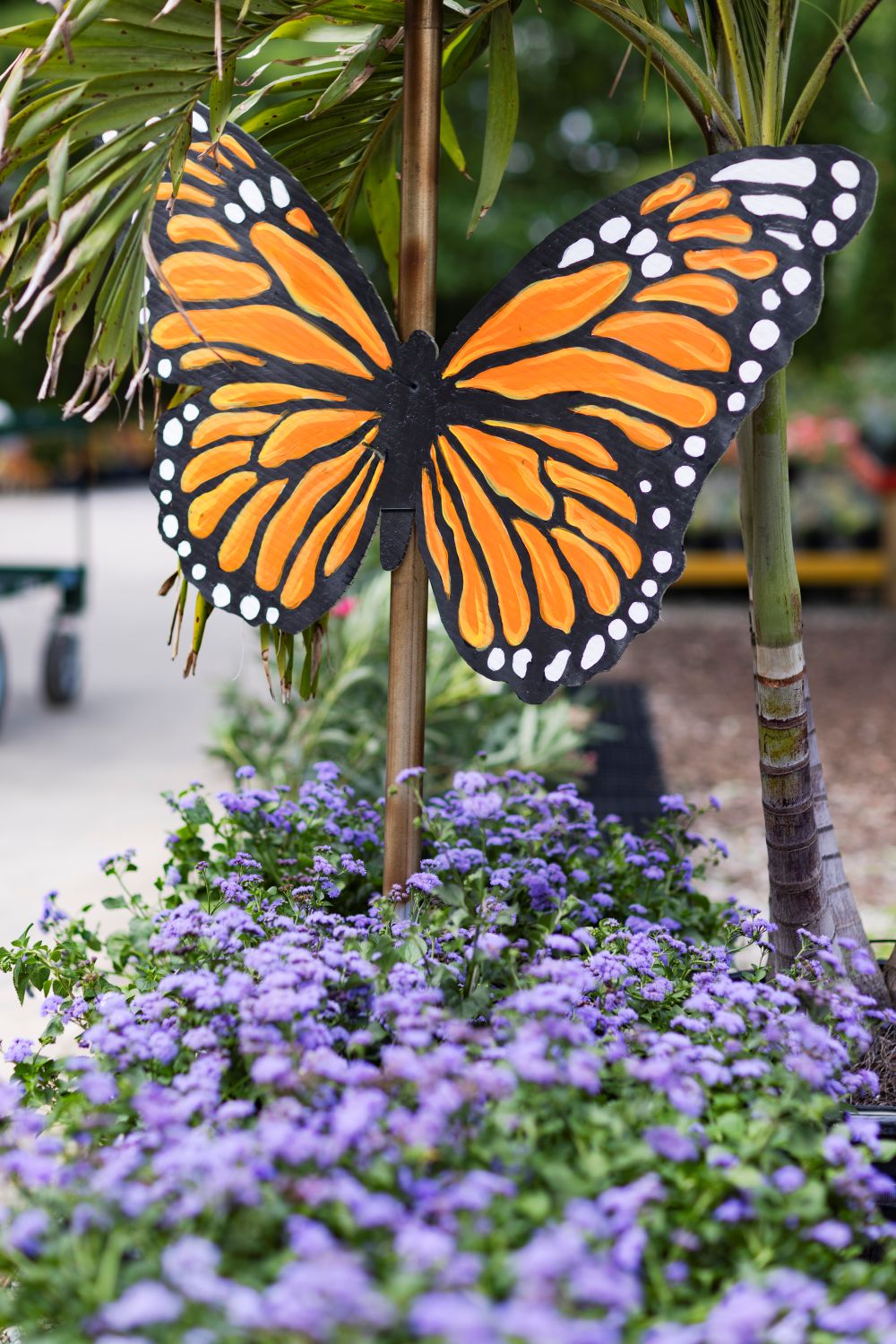 Monarch Magic Hanging Basket