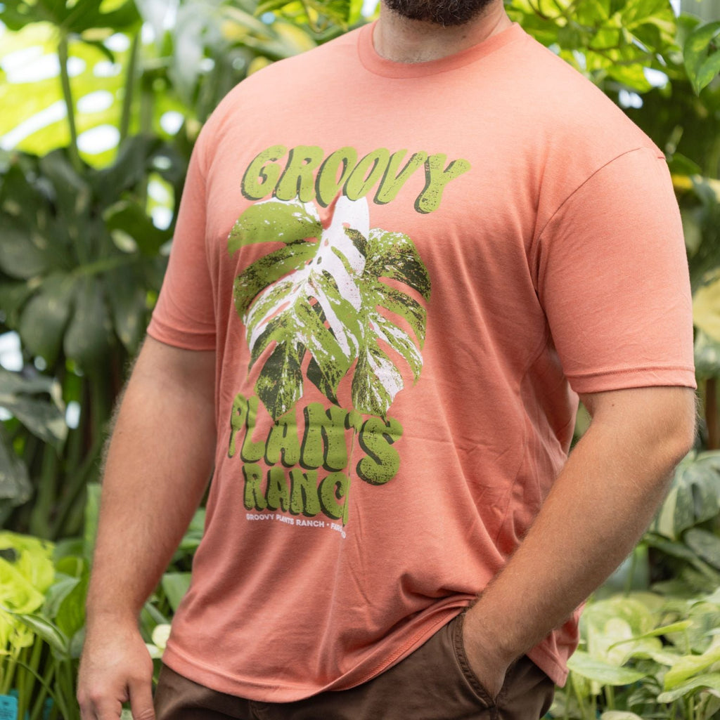 Groovy T-Shirt | Monstera- Pink