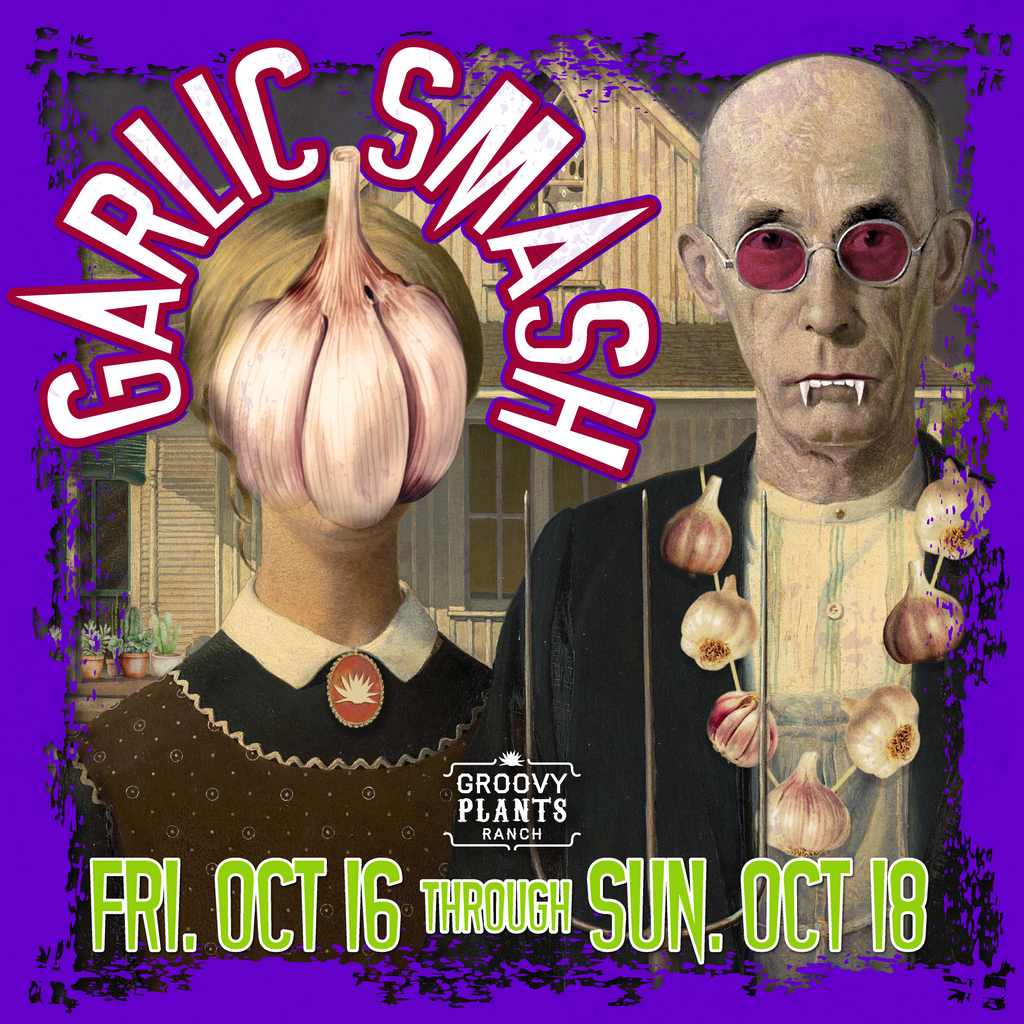 Garlic | Mennonite Hardneck - Pickup October 16th - 19th