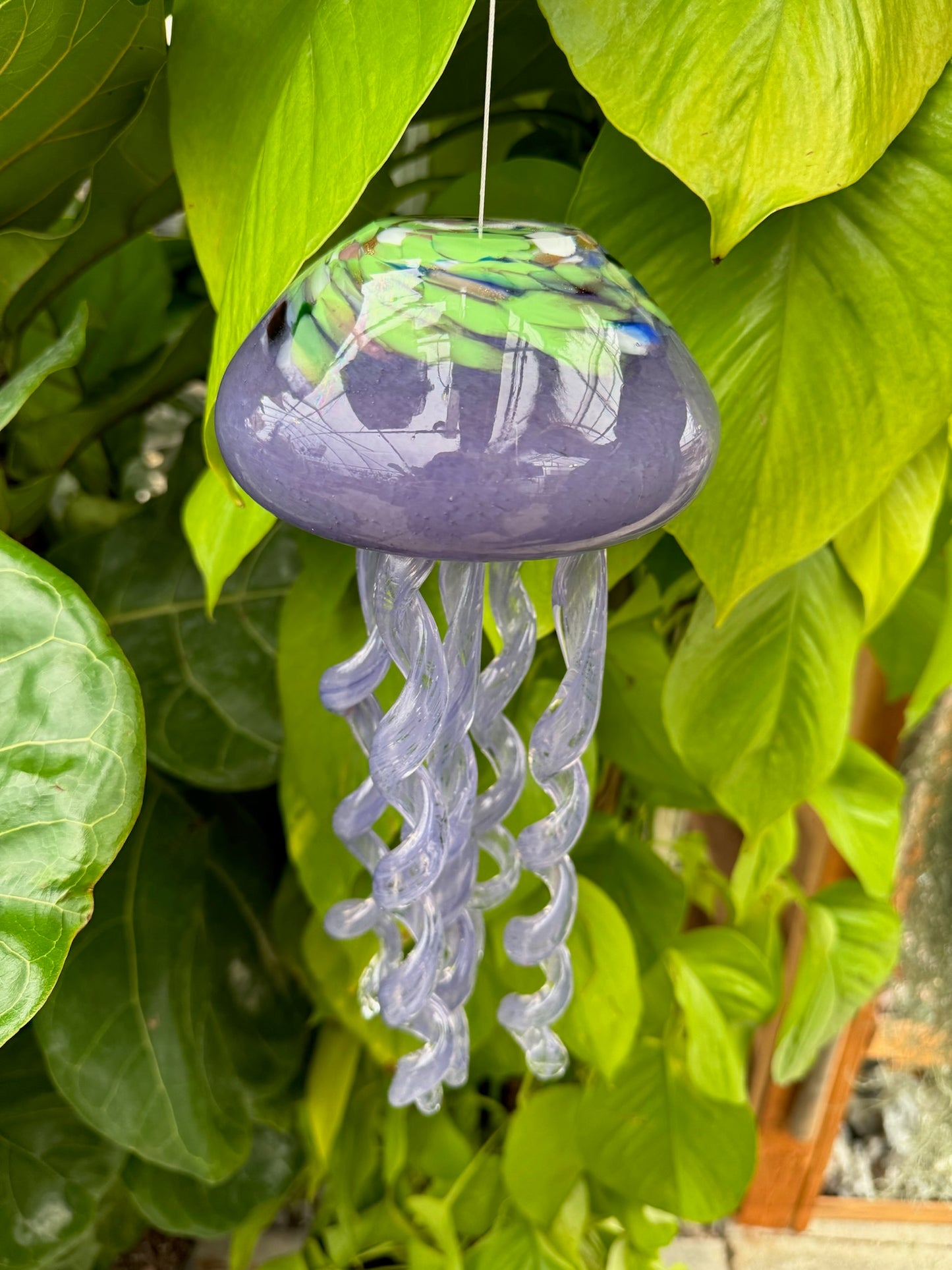 Art Glass Jellyfish Chime | Pickup in Store Today!