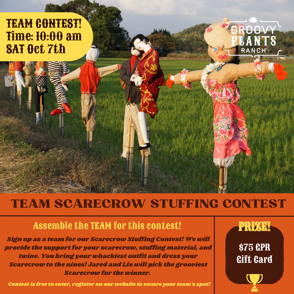 Signup for the Team Scarecrow Stuffing Contest | OCT 7th