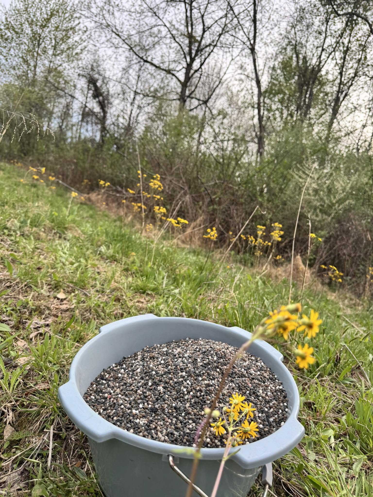 Garden-to-Apothecary: The Basics of Herbalism