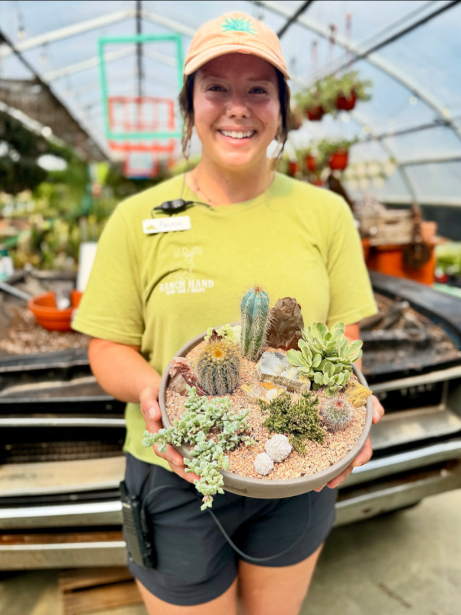 Desert Scape Succulent Planter | Aug 30th 2pm
