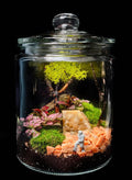 Spooky Terrarium Workshop