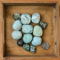 Tumbled African Turquoise