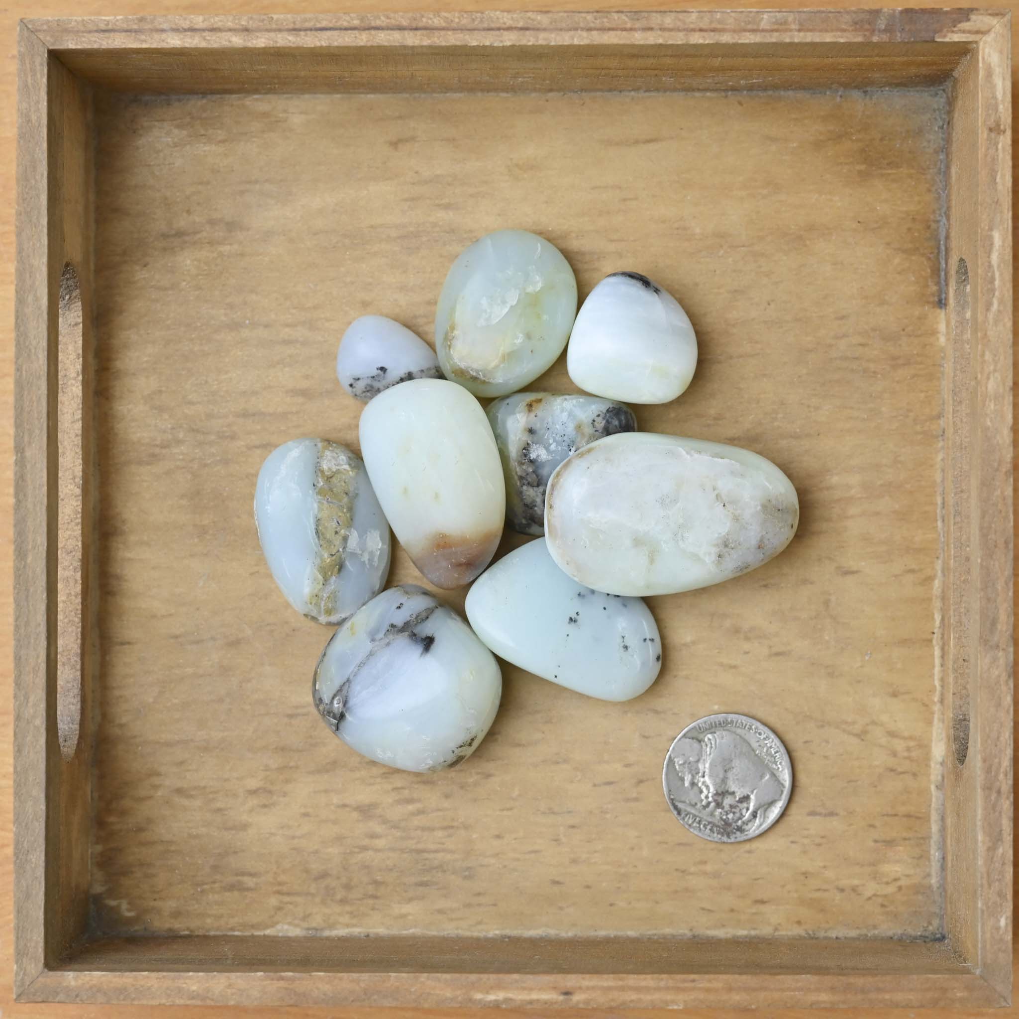 Tumbled Andean Blue Opal (1 Stone) – The Groovy Plants Ranch LLC